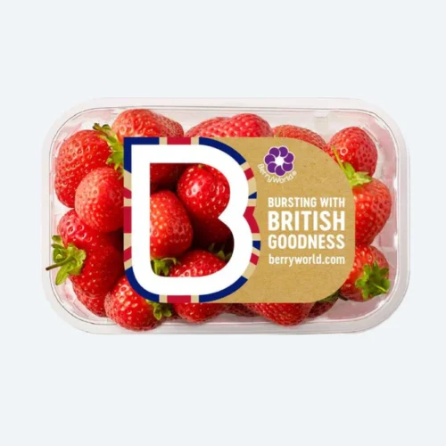 Berry World Strawberries